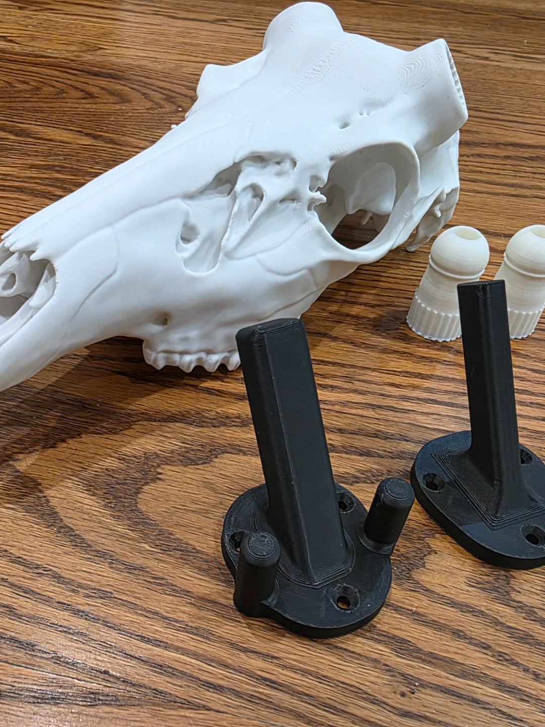 Deer Skull Wall Hang Bracket - 2026 V1