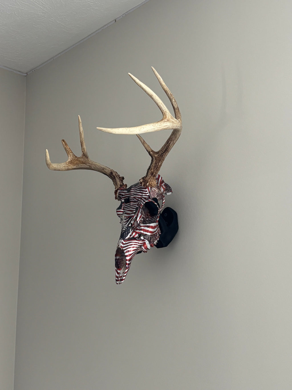 Euro mount display