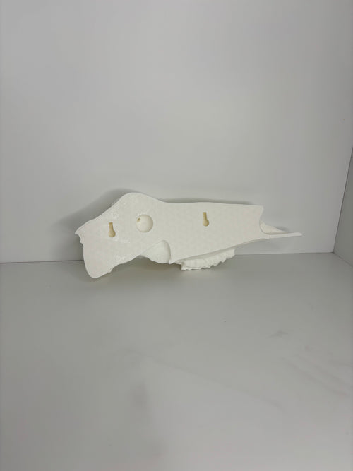 Half whitetail skull