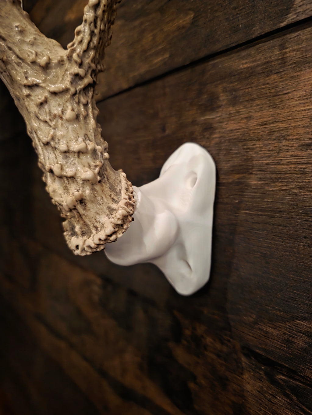 Deer Antler Wall Mount