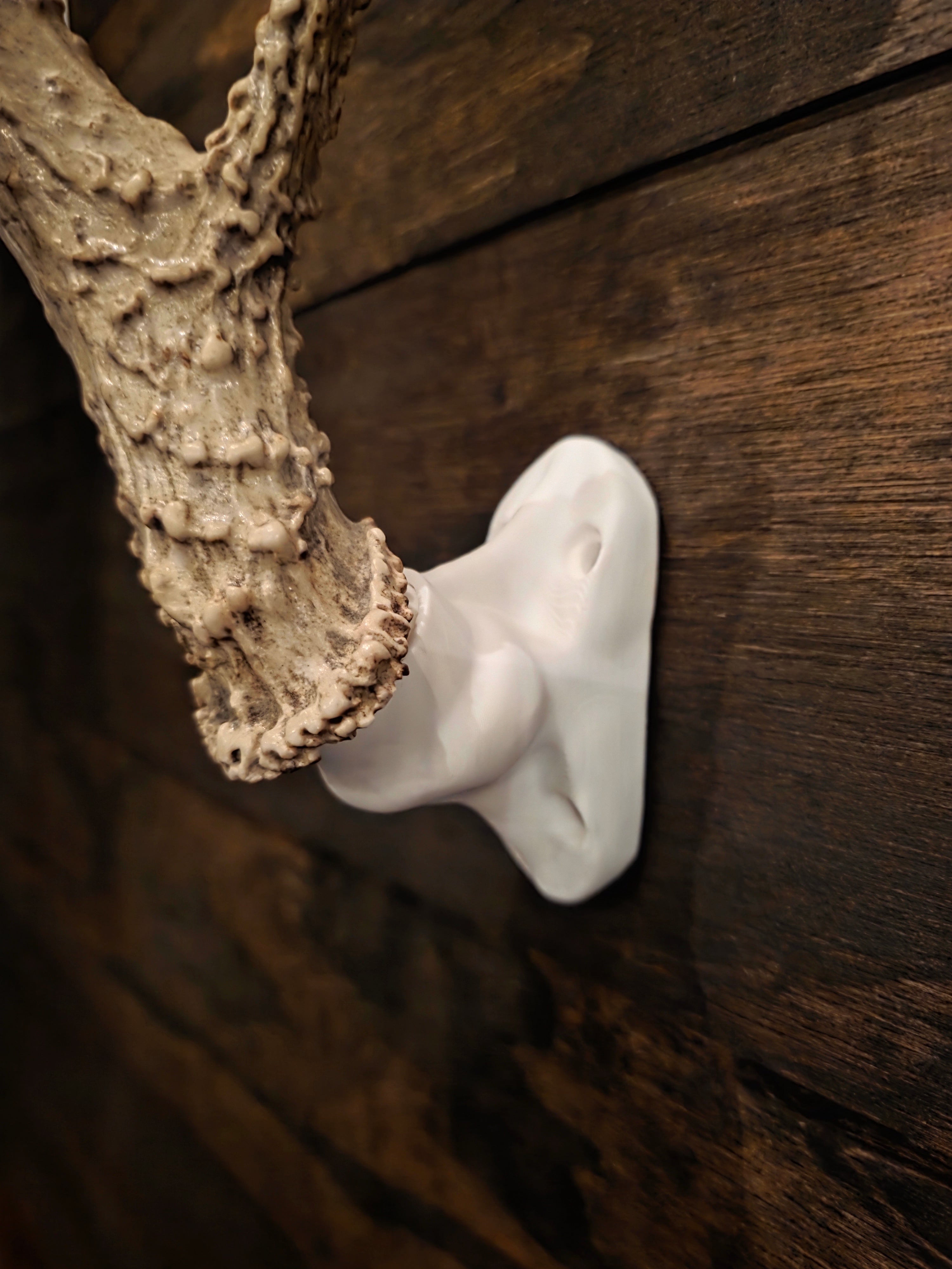 Deer Antler Wall Mount