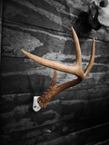 Deer Antler Wall Mount