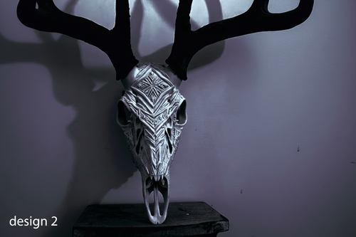 Custom Designed Whitetail Skull
