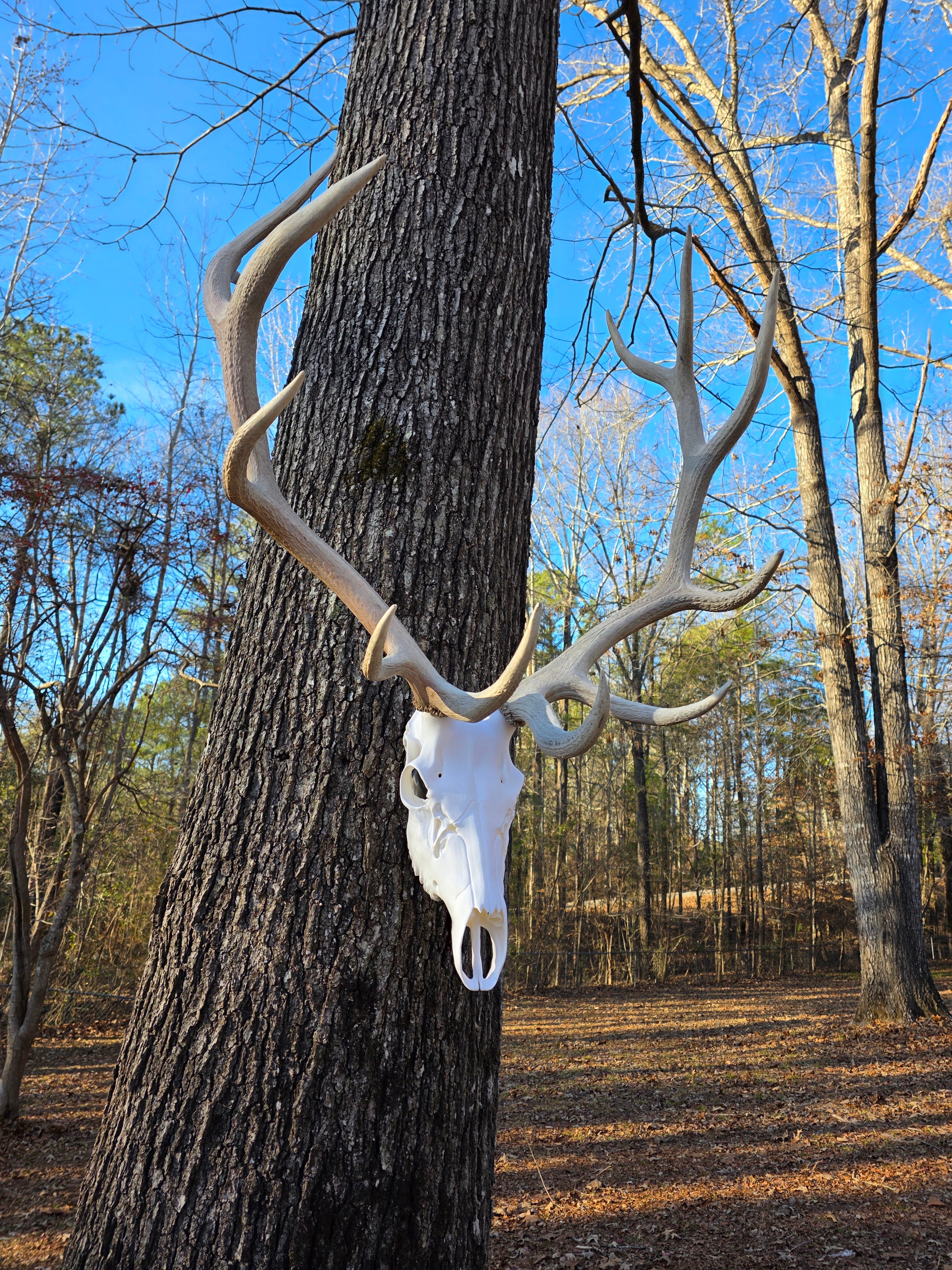 Elk Euro Mount Display